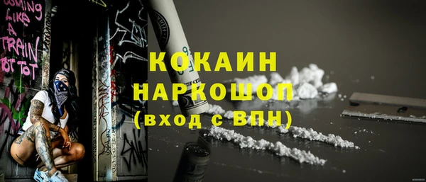 хмурый Аркадак
