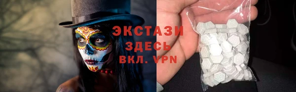 хмурый Аркадак