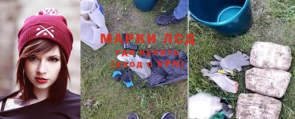 хмурый Аркадак