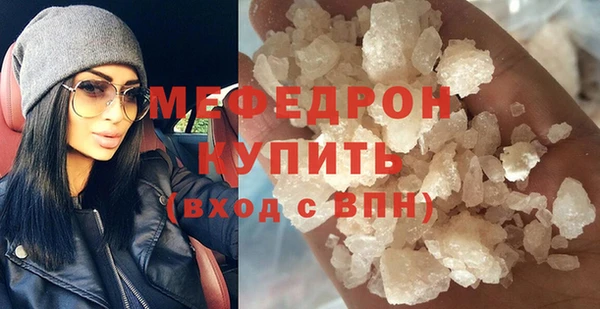 хмурый Аркадак