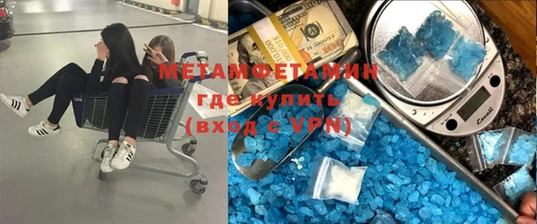 хмурый Аркадак