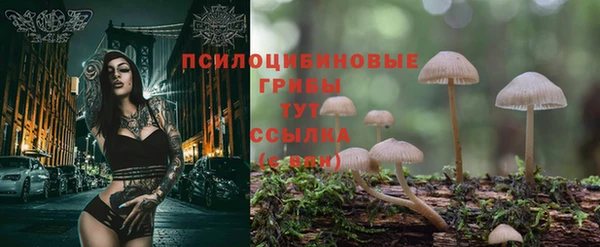 мяу мяу кристалл Арсеньев