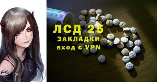 хмурый Аркадак