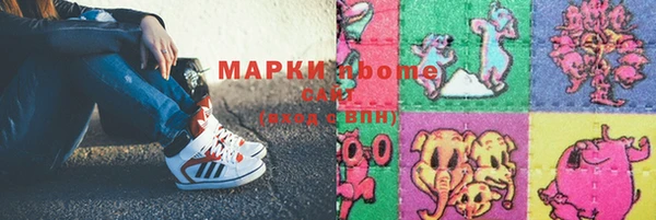хмурый Аркадак
