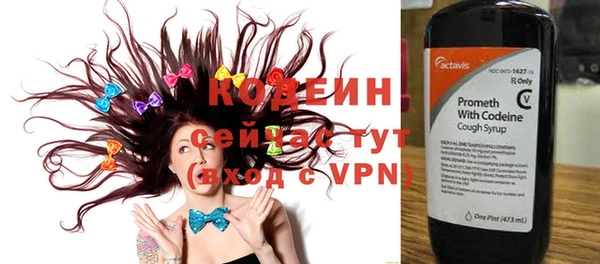 первитин Новодвинск