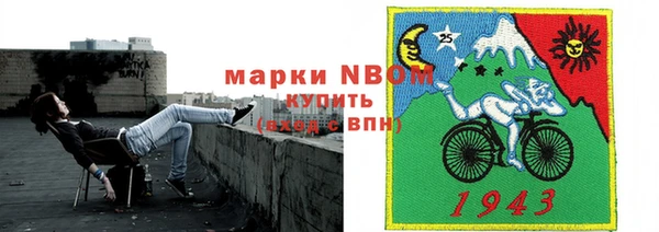хмурый Аркадак