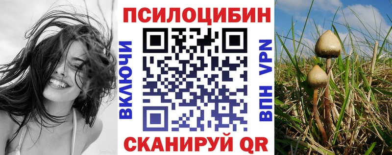 Галлюциногенные грибы MAGIC MUSHROOMS  Теберда 